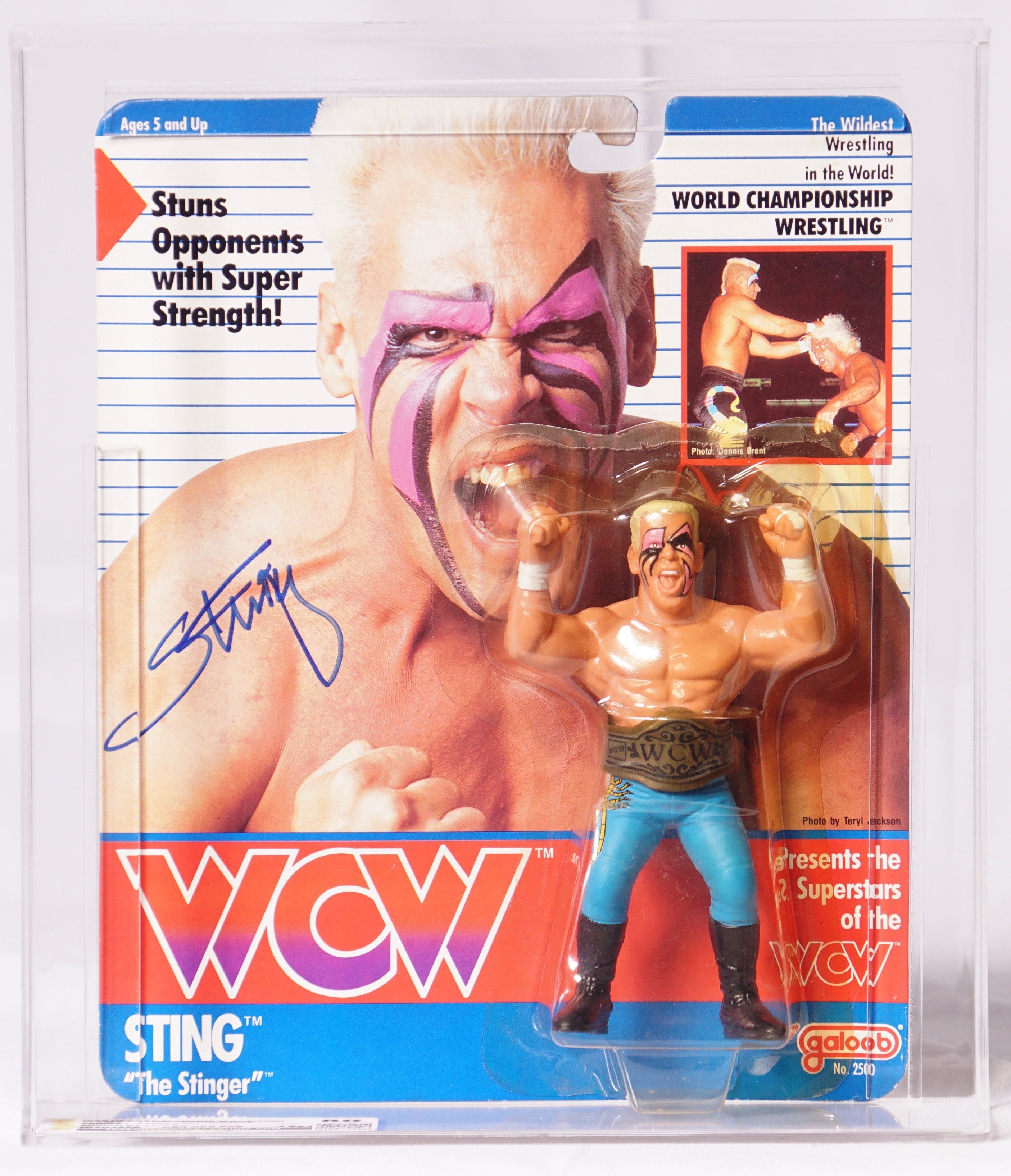 CUSTOM 1990 Galoob WCW Carded Wrestler - Sting (Signed by Sting
