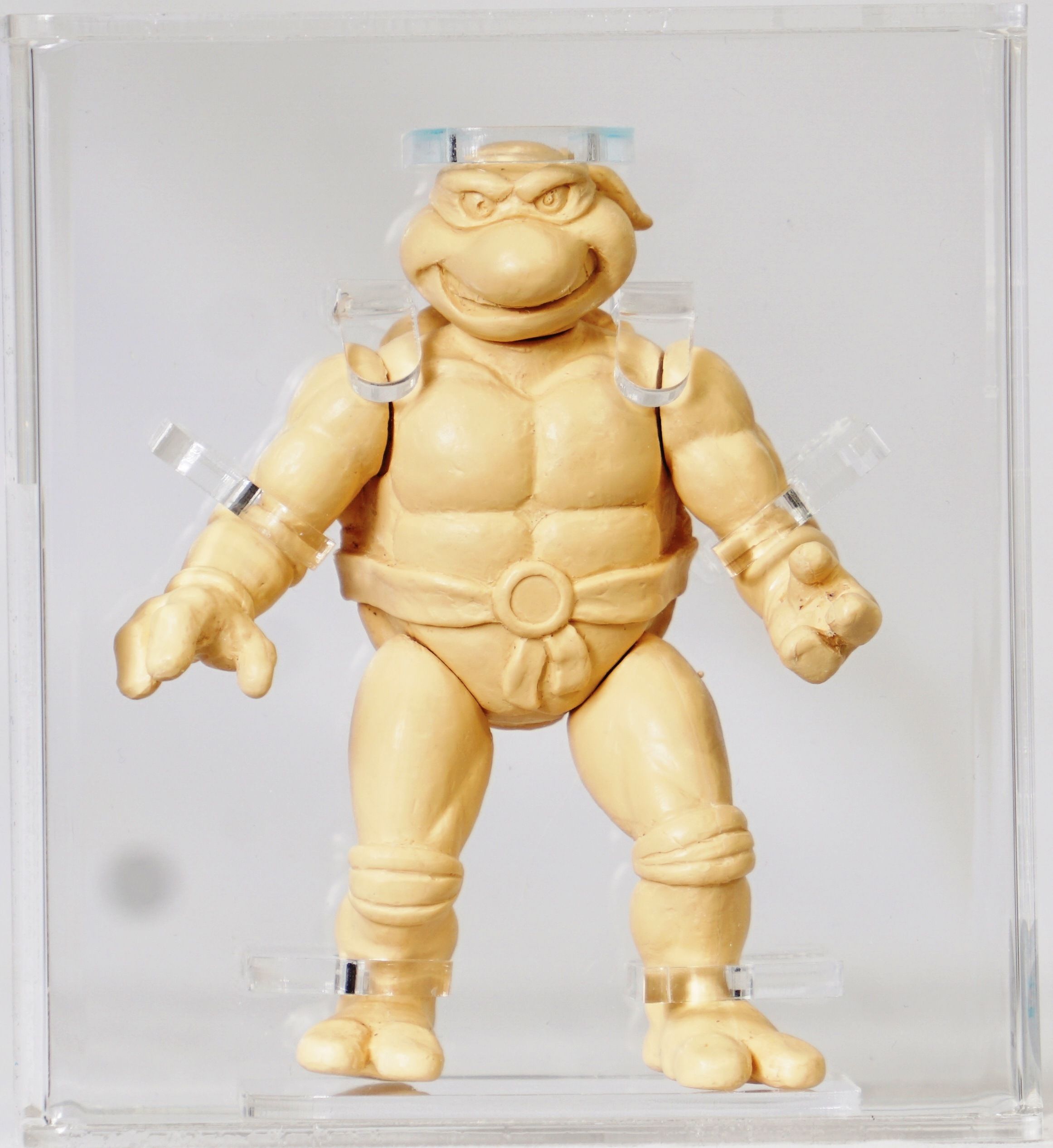 Teenage Mutant Ninja Turtles