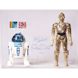 Kenner Star Wars 1/6 Electronic C-3PO & R2-D2 Action Figure